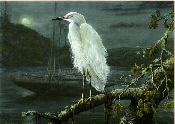 Image of By the Light of the Moon ~Little Egret, Helford Passage, Falmouth